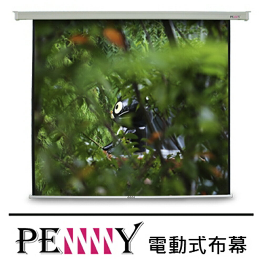 【澄名影音展場】PENNY PS-90(1:1)方型電動幕