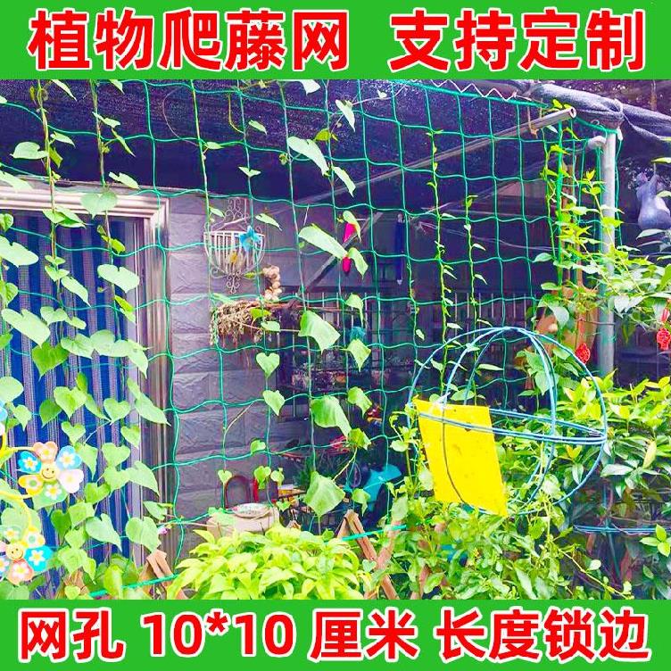 瓜蔞搭棚架葡萄園大棚陽臺花藤羅漢果園藝植物爬藤網攀援網搭架網