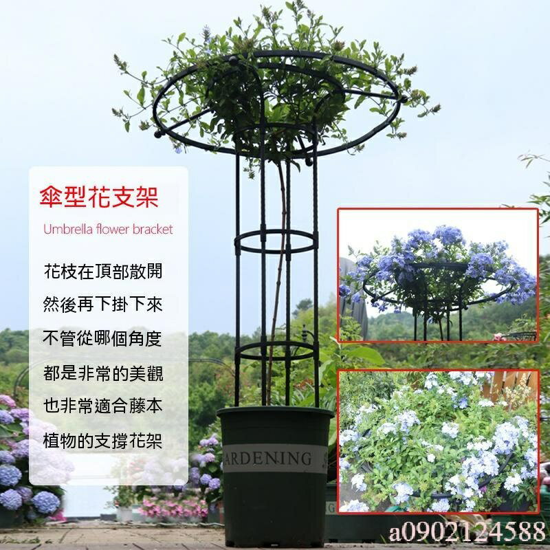 園藝傘形花架 爬藤架 月季鐵線蓮攀藤蘑菇薔薇花架 綠植支架桿戶外