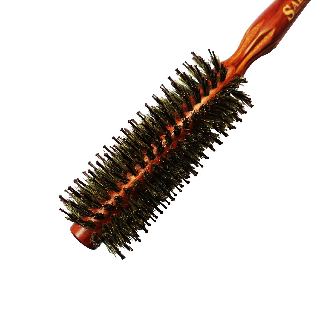 FRACIUS 法拉西施 - P3012 耐熱尼龍鬃毛花梨木圓梳 2 FRACIUS 法拉西施 - P3012 耐熱尼龍鬃毛花梨木圓梳 2