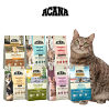 網購推薦-愛肯拿 無穀貓飼料 網購推薦-愛肯拿 無穀貓飼料