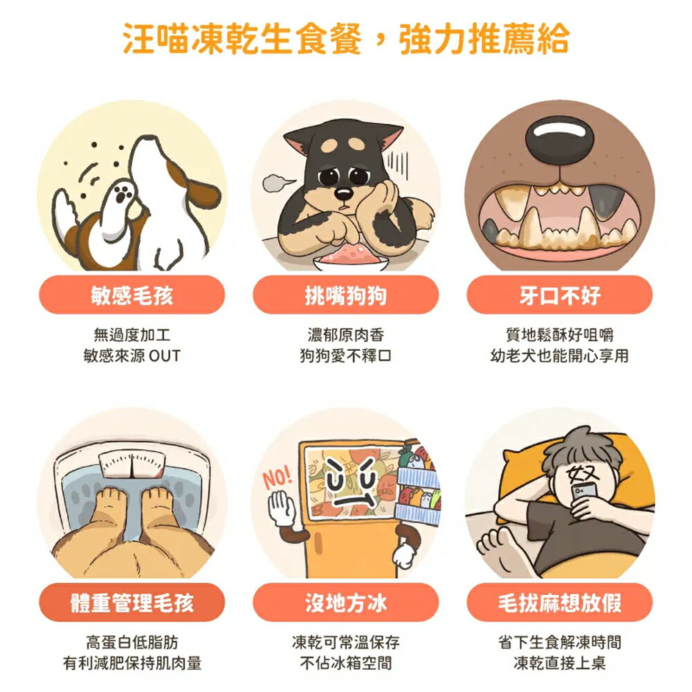 汪喵星球【狗狗冷凍乾燥生食餐】80g /500g 凍乾 狗主食 95%肉含量 凍乾生食餐 營養吃 方便餵 生食也能常溫保存 5 汪喵星球【狗狗冷凍乾燥生食餐】80g /500g 凍乾 狗主食 95%肉含量 凍乾生食餐 營養吃 方便餵 生食也能常溫保存 5