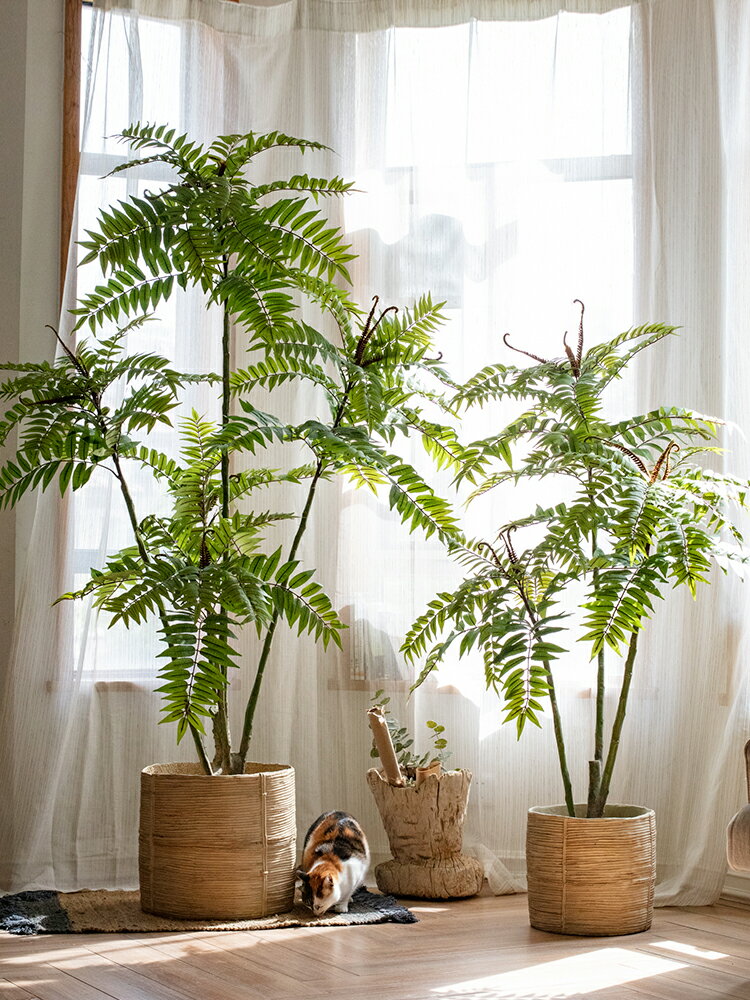 掬涵 大型仿真植物香椿樹假綠植盆景擺件室內客廳北歐ins風裝飾