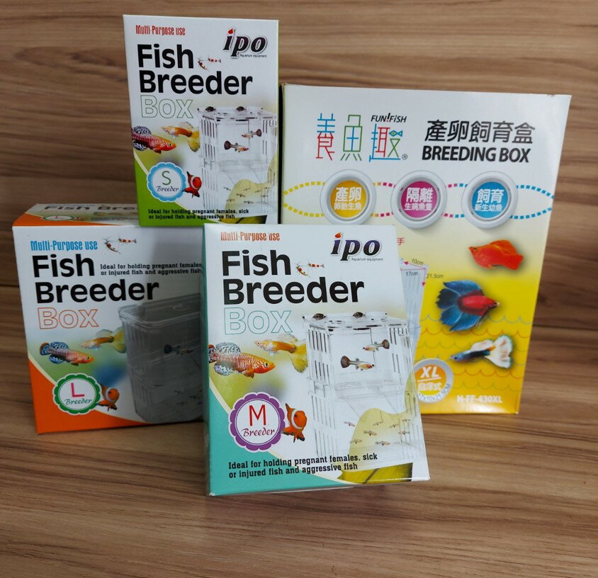 自浮式 ipo 飼育盒 繁殖盒產卵 隔離 孔雀魚 鬥魚 方便 簡易