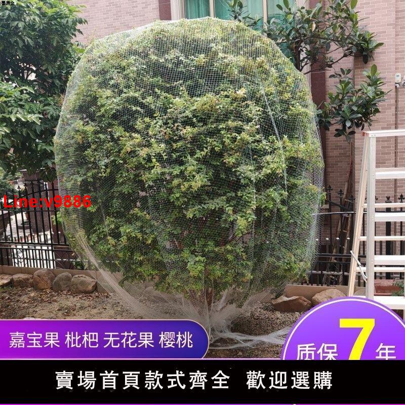 【臺灣公司 超低價】新款果樹防鳥罩嘉寶果枇杷櫻桃藍莓果園尼龍防護網菜地陽臺保護罩