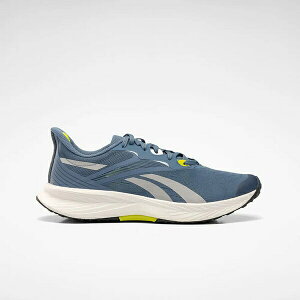 Reebok Floatride Energy 5 [100074425] 男 慢跑鞋 運動 路跑 輕量 支撐 反光 藍