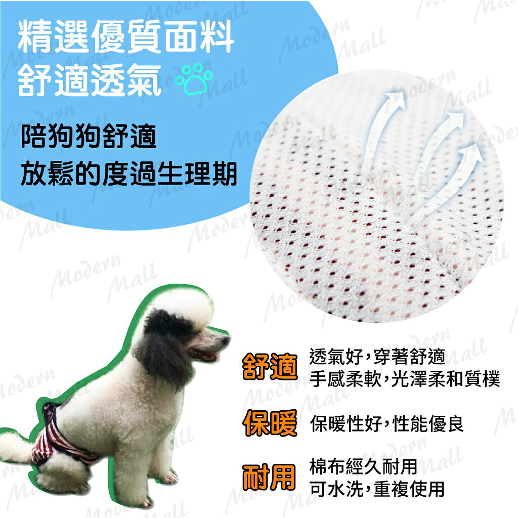狗狗生理褲【Ｎｅｗ舒適新款💎免運現貨】寵物生理褲 狗生理褲 狗內褲 寵物內褲 不外漏 可更換 防感染 3