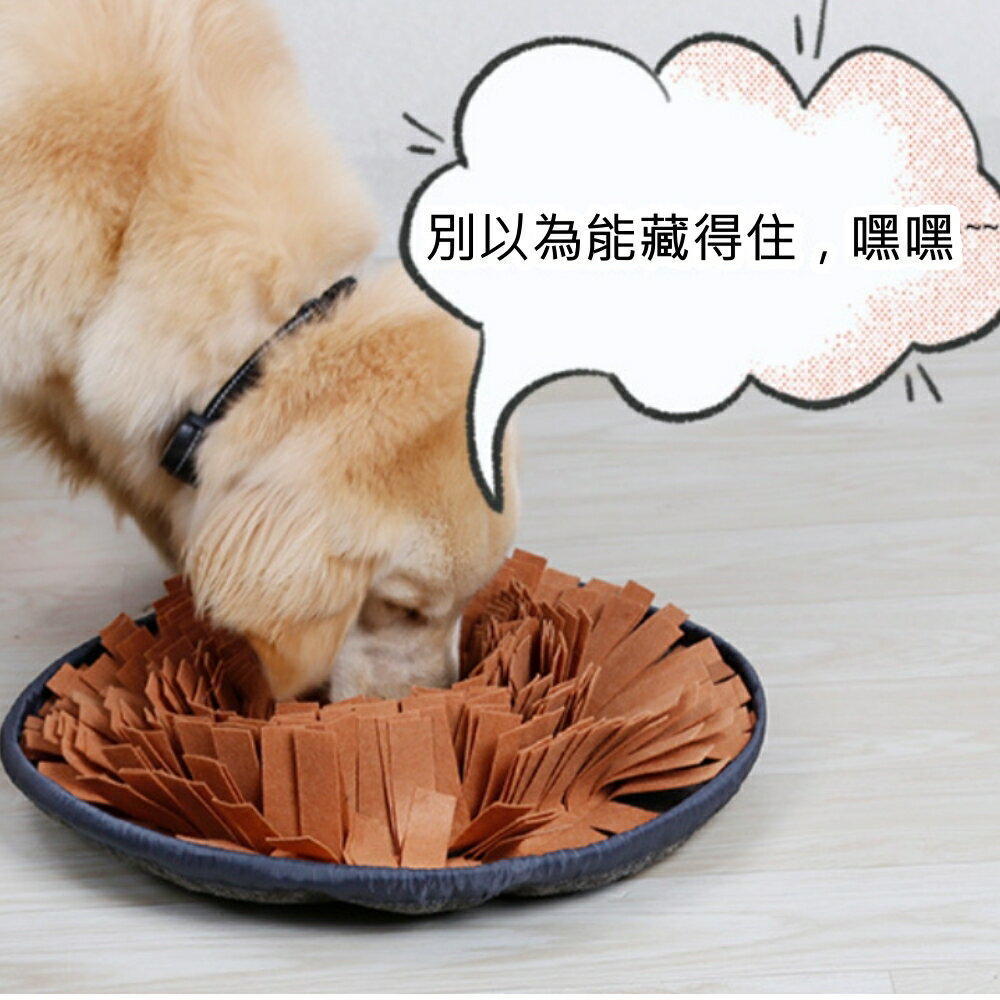 美麗大街 【109112007】寵物益智寵物玩具 狗狗玩具 犬用玩具 聞嗅墊 嗅聞墊 覓食墊覓食碗 2