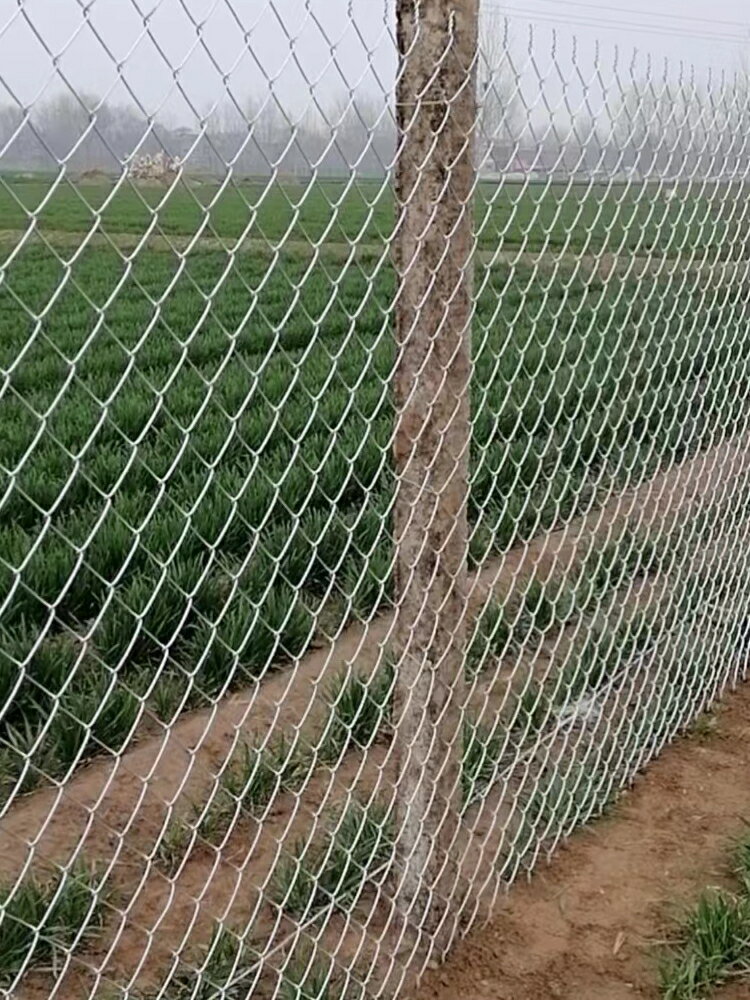 鍍鋅鐵絲網護欄網勾花網鋼絲網圍欄網防護網隔離網養殖網圈地圍網