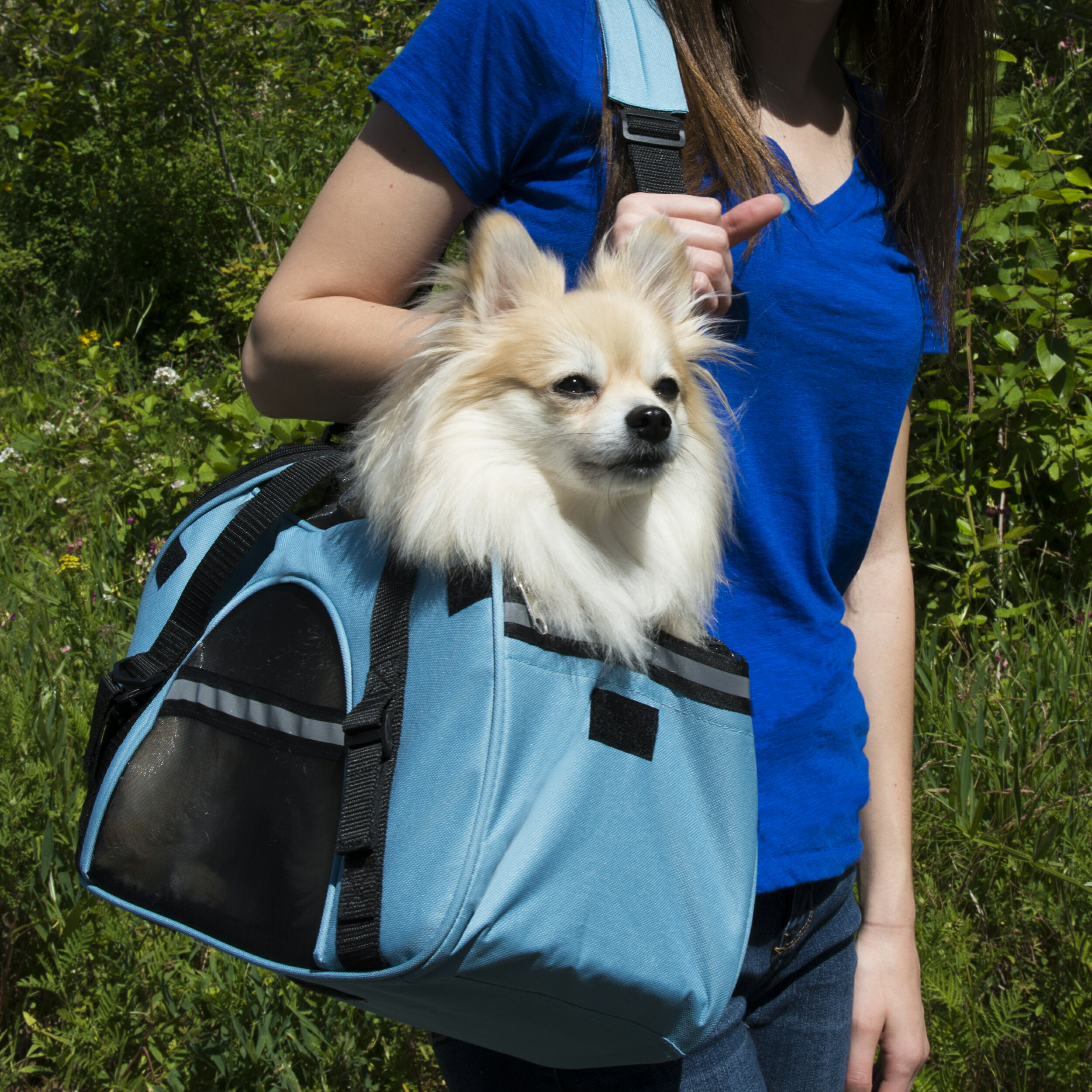 FurHaven Pet Tote | Pet Tote with Weather Guard - Available in Multiple Colors & Sizes 1