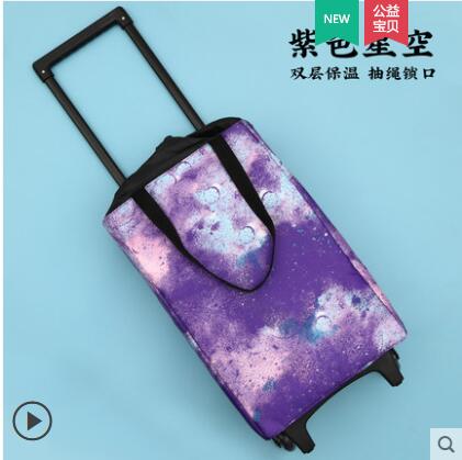 買菜車小拉車摺疊購物車手拉車便攜小拖車家用輕便買菜神器拉桿車 雙11全館免運
