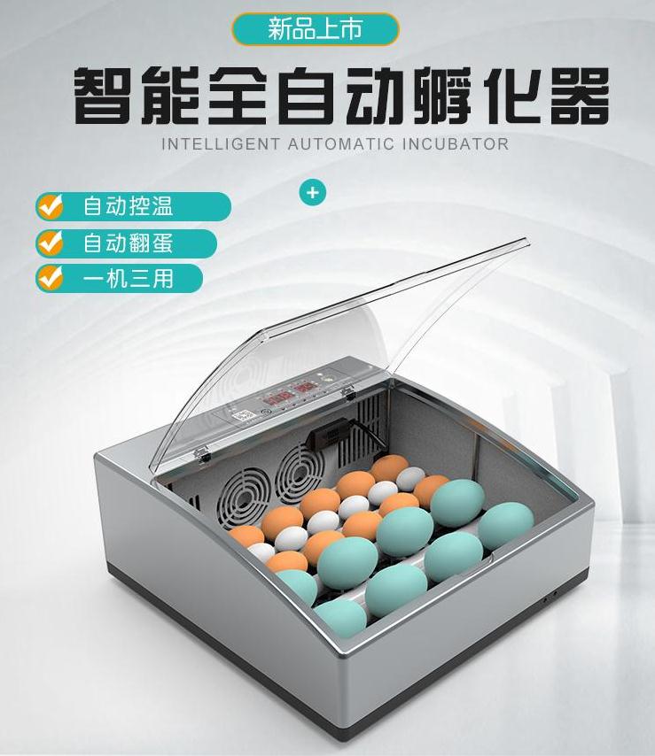 孵化器雞鴨鸚鵡蛋孵蛋器孵化機小型家用型全自動智慧蘆丁雞孵化箱110V 森馬先生旗艦店
