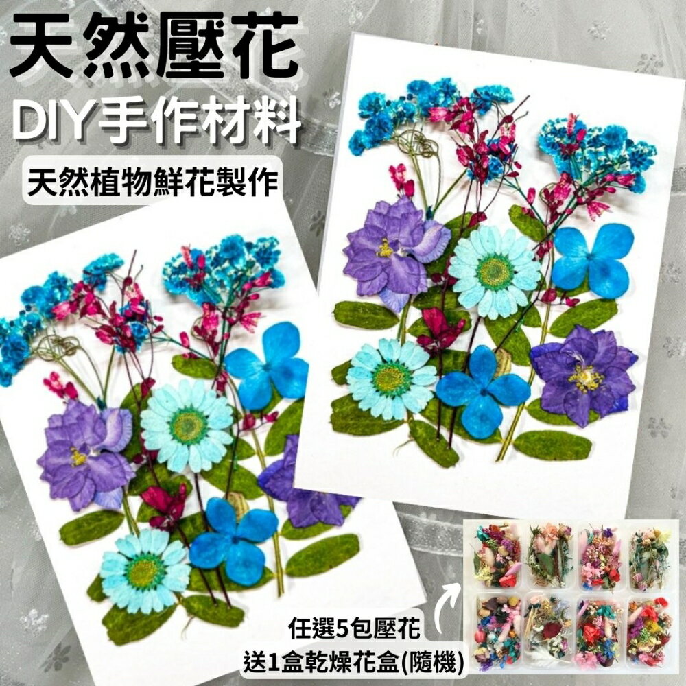 【A-ONE】藍色壓花 押花 乾燥花 壓花材料 DIY植物押花 押花材料 美甲乾燥花 壓花DIY 浮油花