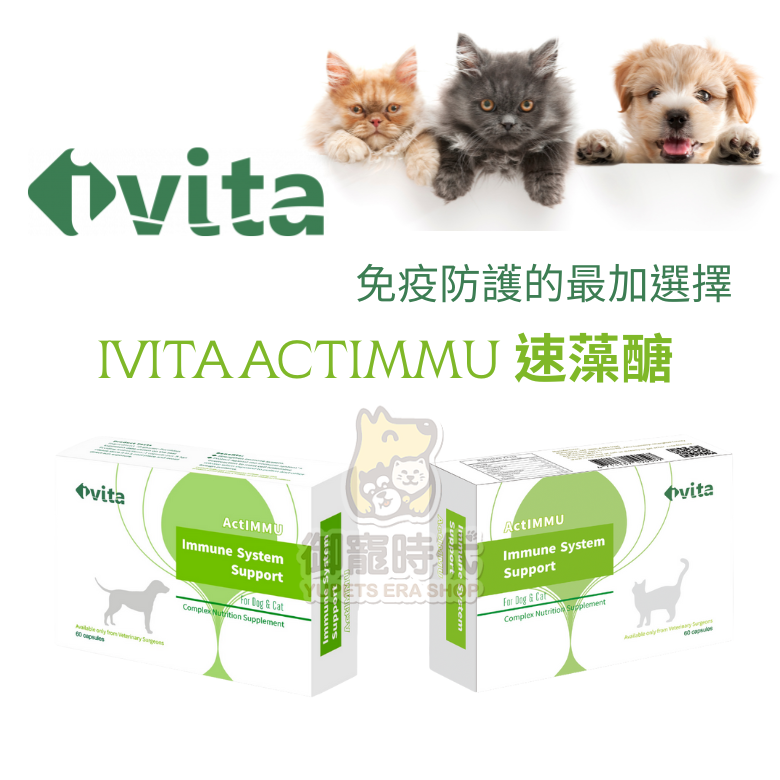 ivita 速藻醣 30顆 貓 狗 犬寵物 免疫輔助保健品 類藻康留 免疫力