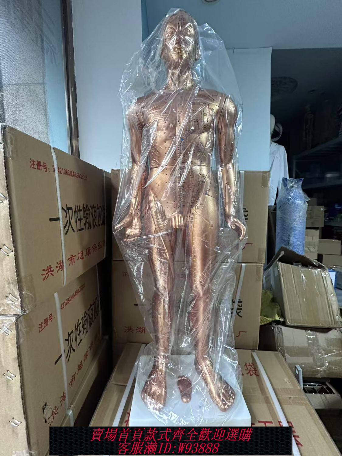 穴位模型 大偽銅人模型偽銅塑膠材質中醫模型穴位模型84cm高