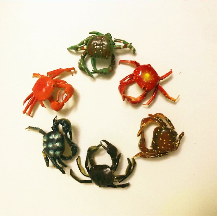 昆蟲模型 仿真螃蟹 磁鐵 場景布置 教科認知 攝影道具