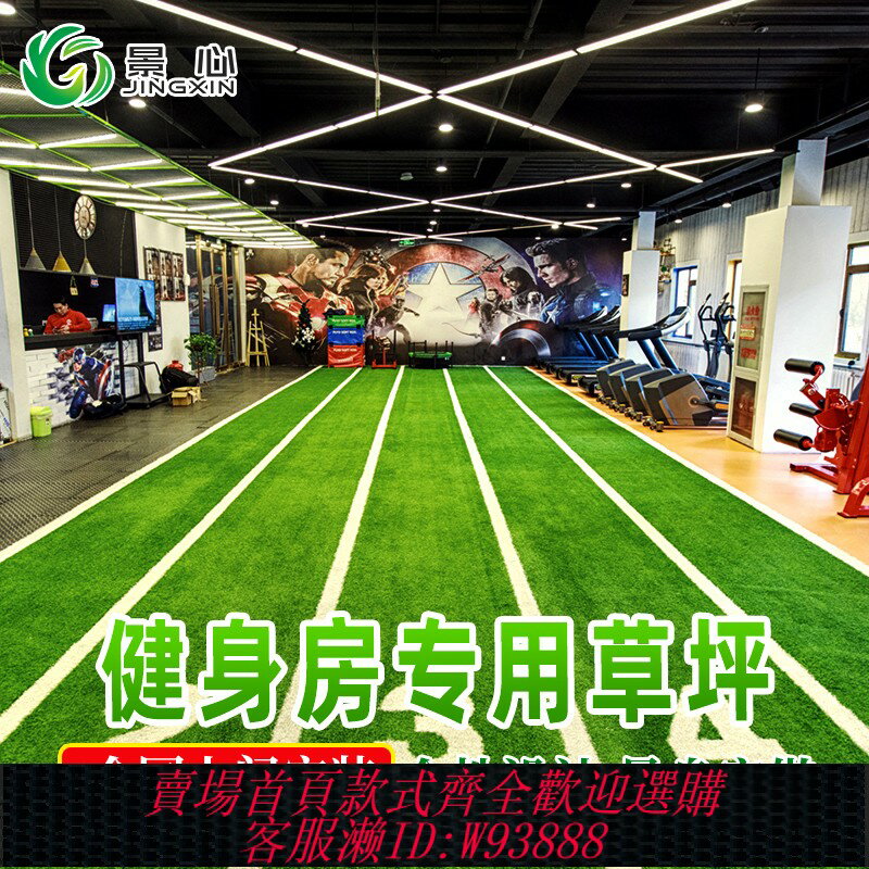 {臺灣公司貨 可打統編}健身房草坪私教草坪定製工作室雪橇白線條地毯模擬運動跑道假刻度