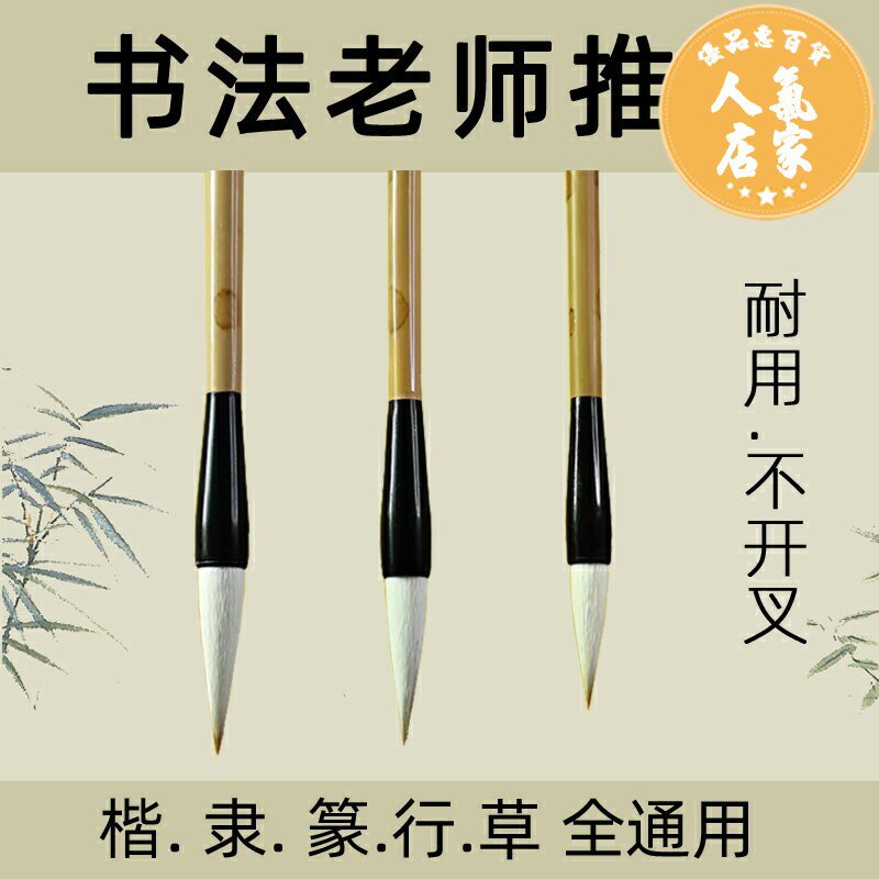 鋼筆式毛筆 軟筆 抄經筆 兼毫毛筆楷書隸書篆書行書初學大楷小學生套裝國畫培訓軟筆不開叉