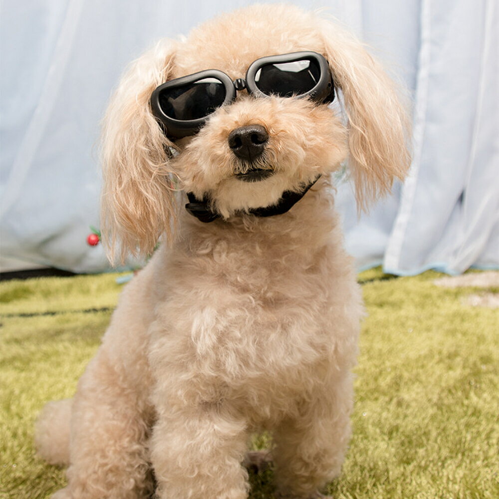 狗眼鏡寵物太陽鏡擋風鏡墨鏡小型犬專用護目鏡狗狗裝扮飾品小宅女聖誕節禮物 喜多多生活館 Rakuten樂天市場