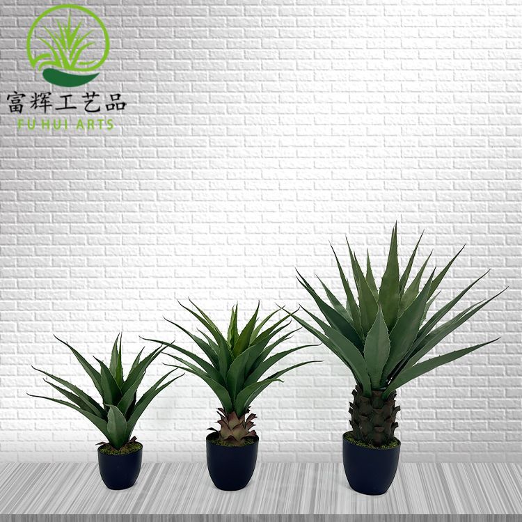 仿真植物龍舌蘭劍麻皇冠蘭組合盆栽造景室內綠植道具擺件