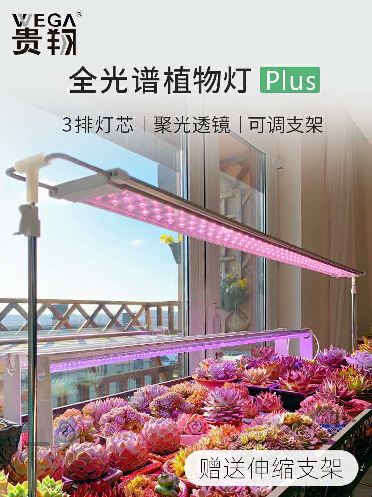 補光燈 貴翔多肉補光燈Plus版 上色全光譜家用LED植物生長燈室內仿太陽光