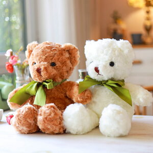 絲巾泰迪熊小熊公仔大抱抱熊毛絨玩具熊熊布娃娃玩偶原料生日禮物