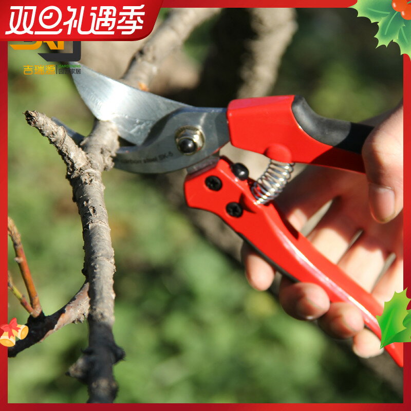花心蘭枝剪花剪園藝修枝剪粗枝大力剪果樹枝花木園林剪枝工具剪刀