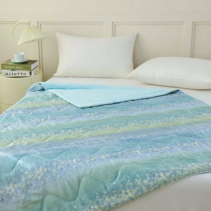 點數11%｜[COSCO代購5] D442422 Don Home 萊賽爾沁涼被 150公分 X 200公分 星綻