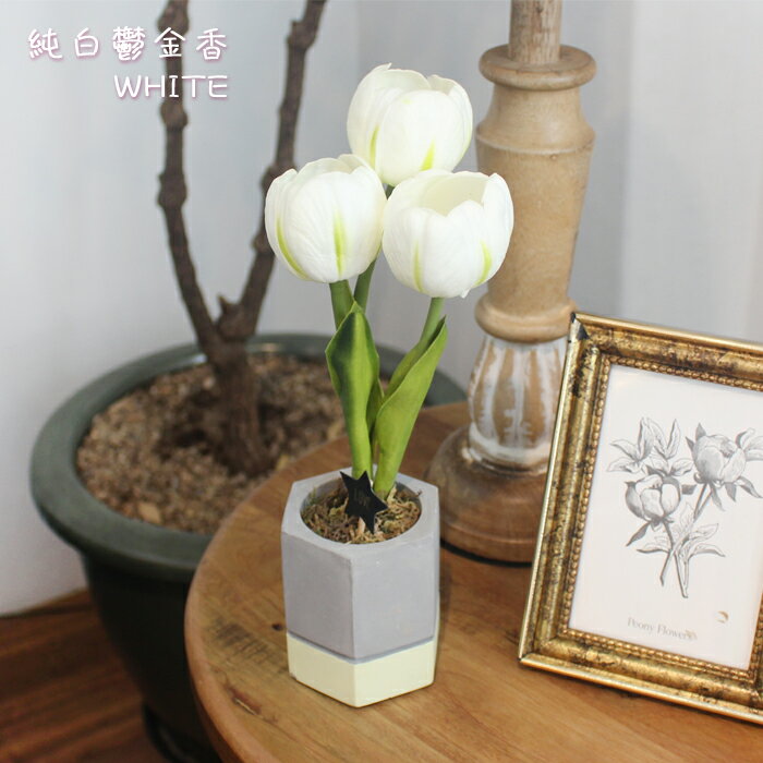 VIA-K Studio LED 仿真鬱金香盆栽夜燈 新色任選 交換禮物 小夜燈 仿真花夜燈 LED小夜燈 韓國仿真花 檯燈 1