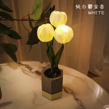 Via K Studio Led 仿真鬱金香小盆栽夜燈3色任選交換禮物小夜燈仿真花夜燈led小夜燈韓國仿真花檯燈 韓流小舖 Via K Studio Led 仿真鬱金香小盆栽夜燈3色任選交換禮物小夜燈仿真花夜燈led小夜燈韓國仿真花檯燈 韓流小舖