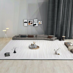客廳地毯輕奢極簡沙發茶幾地墊白色日式臥室床前毯北歐簡歐