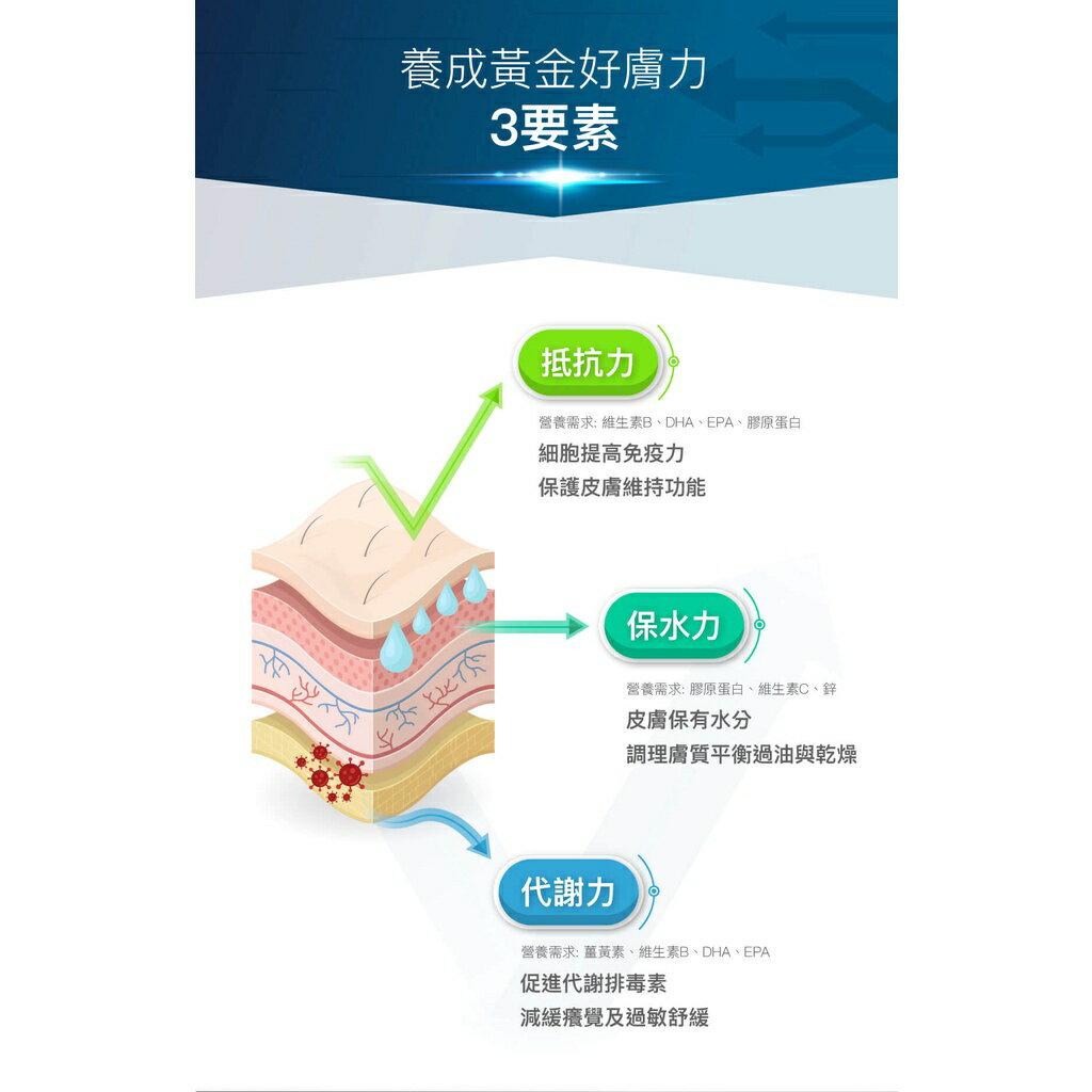🔥買大送小🔥木入森 犬寶膚立好 30入/60入【授權販售】異位性皮膚炎機能營養複方 幫助皮膚健康 營養品 5