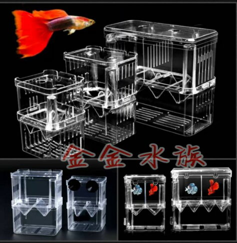 自浮式ipo 飼育盒繁殖盒產卵隔離孔雀魚鬥魚方便簡易 金金水族直營店 樂天市場rakuten 自浮式ipo 飼育盒繁殖盒產卵隔離孔雀魚鬥魚方便簡易 金金水族直營店 樂天市場rakuten