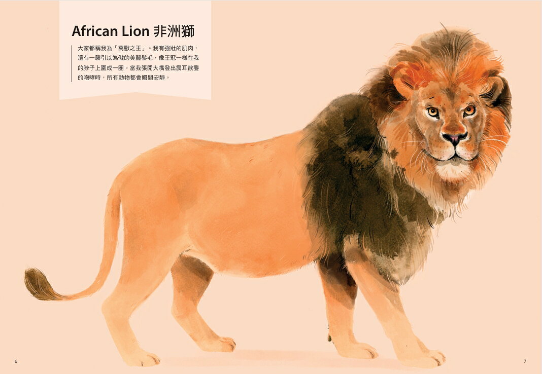 誰是動物大聲公？〔動物繪本圖鑑4〕：首批限量加贈「有聲動物小 2