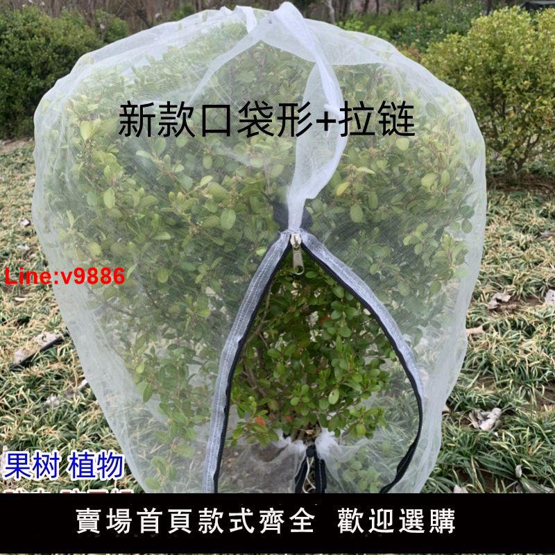 【臺灣公司 超低價】新款防蟲網罩蓮霧櫻桃楊梅藍莓果樹防鳥防果蠅防蚊袋透氣透光加厚