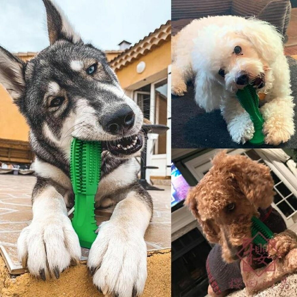 狗狗磨牙玩具大型犬磨牙棒刷牙神器耐咬幼犬寵物牙刷【櫻田川島】