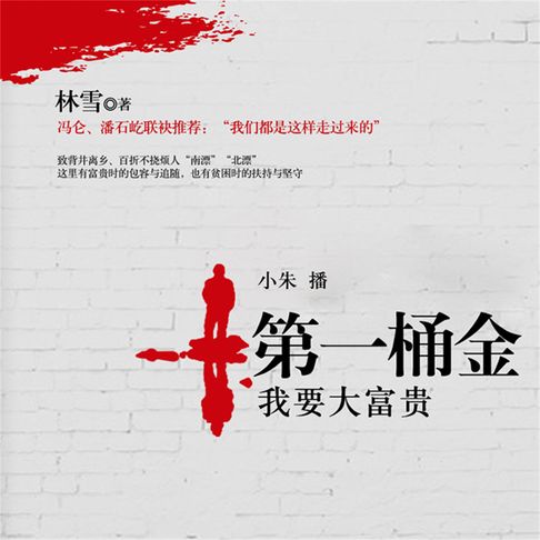 【有聲書】第一桶金：我要大富贵 0
