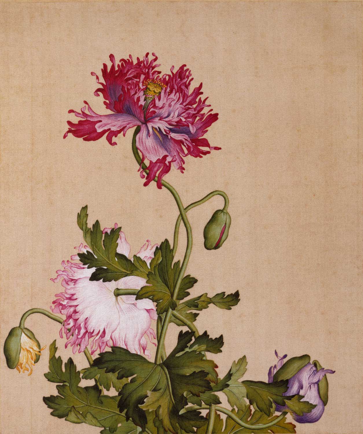 仿古畫名畫復製品郎世寧花鳥畫小品名人書畫裝飾掛畫微噴國畫