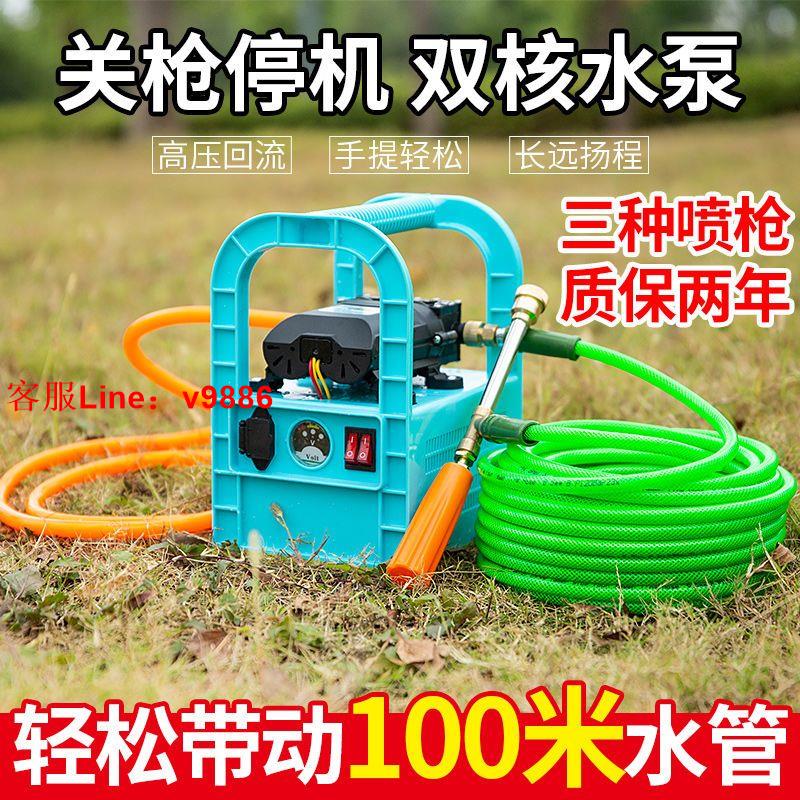 【最低價】【公司貨】電動噴霧器手提式農用充電打藥機多功能高壓隔膜洗車抽水泵彌霧機
