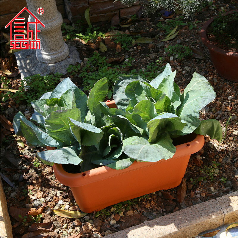 可儲水長方形花槽庭院蔬菜種植盆誠信 家庭塑料花盆 陽臺種菜盆