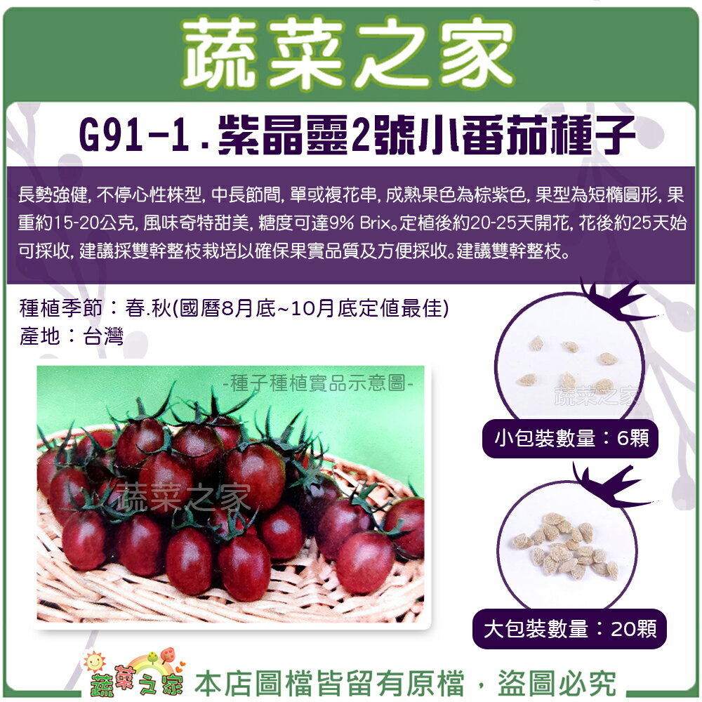 【蔬菜之家】G91-1.紫晶靈2號小番茄種子 (共2種包裝可選)