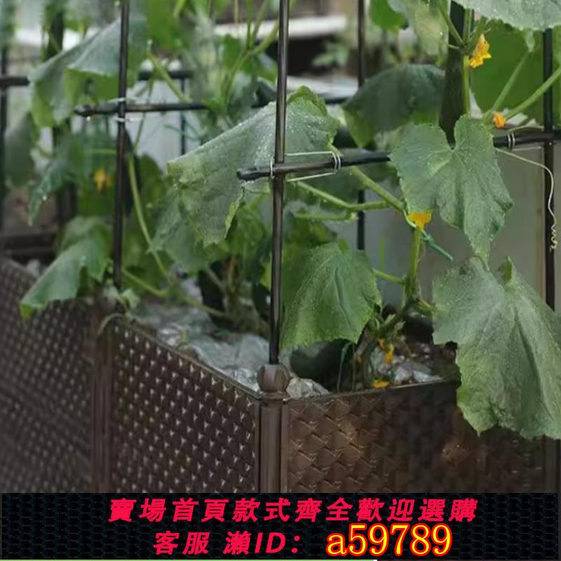 【臺灣公司 可打統編】爬藤種植箱花架種菜爬藤架蔬菜支架植物支撐桿葡萄百香果架子園藝