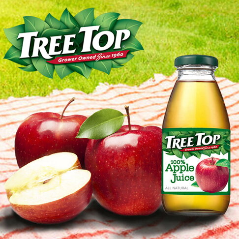 樹頂TREE TOP 100%蘋果汁 300ml x 24瓶 免運費 果汁 飲品 玻璃瓶 原汁 樹頂 (HS嚴選) 2