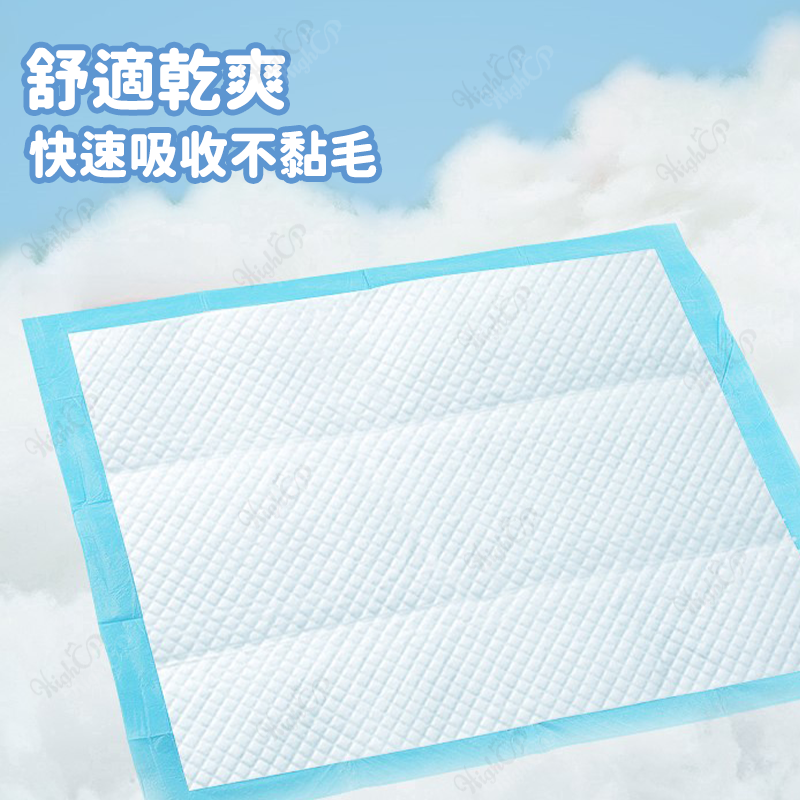 寵物尿布墊 狗狗尿墊 寵物尿墊 狗狗尿布 尿布墊 狗尿墊 寵物加厚尿墊 寵物輕薄尿墊 寵物尿布【2021001】 6