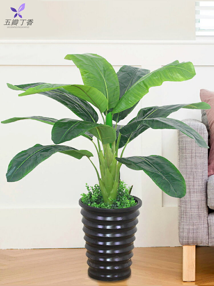 假綠植仿真植物裝飾室內塑膠假花小盆栽客廳假樹芭蕉樹落地擺設
