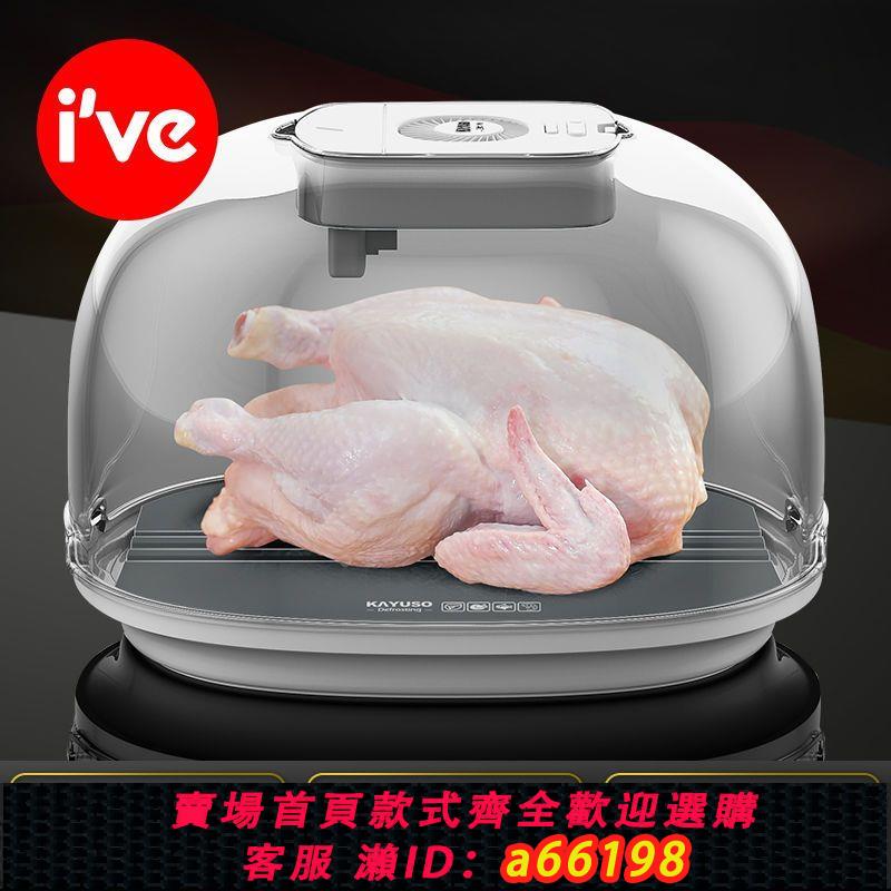 【臺灣公司 可開發票】德國ive 解凍神器家用食物恆溫快速霧化解凍器牛排凍肉解凍板商用