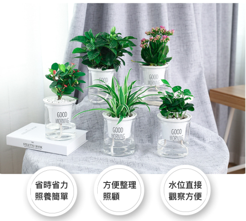 花盆透明花盆自吸水花盆多肉花盆透明塑膠花盆創意樹脂多肉植物花盆 巨路生活館 樂天市場rakuten 花盆透明花盆自吸水花盆多肉花盆透明塑膠花盆創意樹脂多肉植物花盆 巨路生活館 樂天市場rakuten