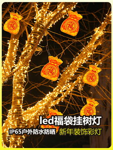led立體福袋燈掛樹上的景觀裝飾彩燈庭院戶外七彩福字燈錢袋子