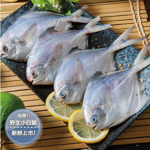 【鮮綠生活】野生小白鯧魚4隻入