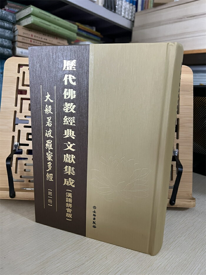 【台灣公司 可開發票】大般若波羅蜜多經 大般若經600卷拼音10冊精裝 歷代佛教經典集成正版 2